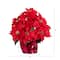 19" Artificial Poinsettia Arrangement in Red Wrapped Planter